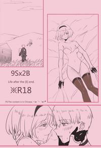 9Sx2B - Life after theend. 1