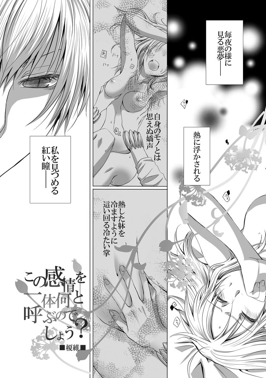 Hard Core Sex Antholo Kikou - Fate stay night Maid - Page 2