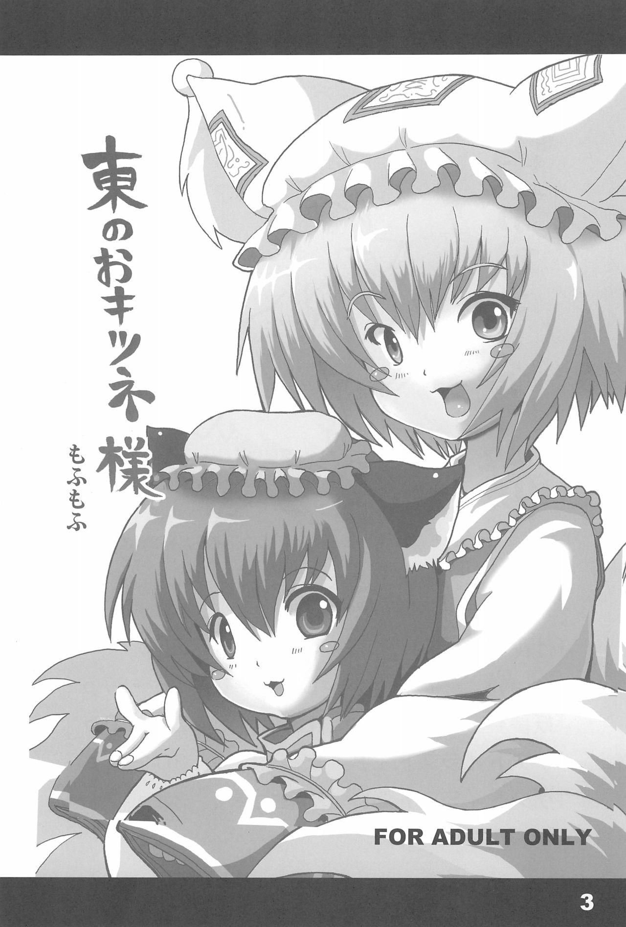 Lolicon Higashi no Okitsune-sama - Touhou project Condom - Page 3