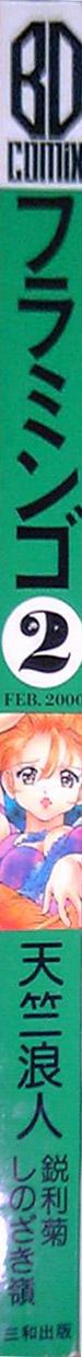 Eurosex Flamingo 2000-02 Brasileiro - Page 2