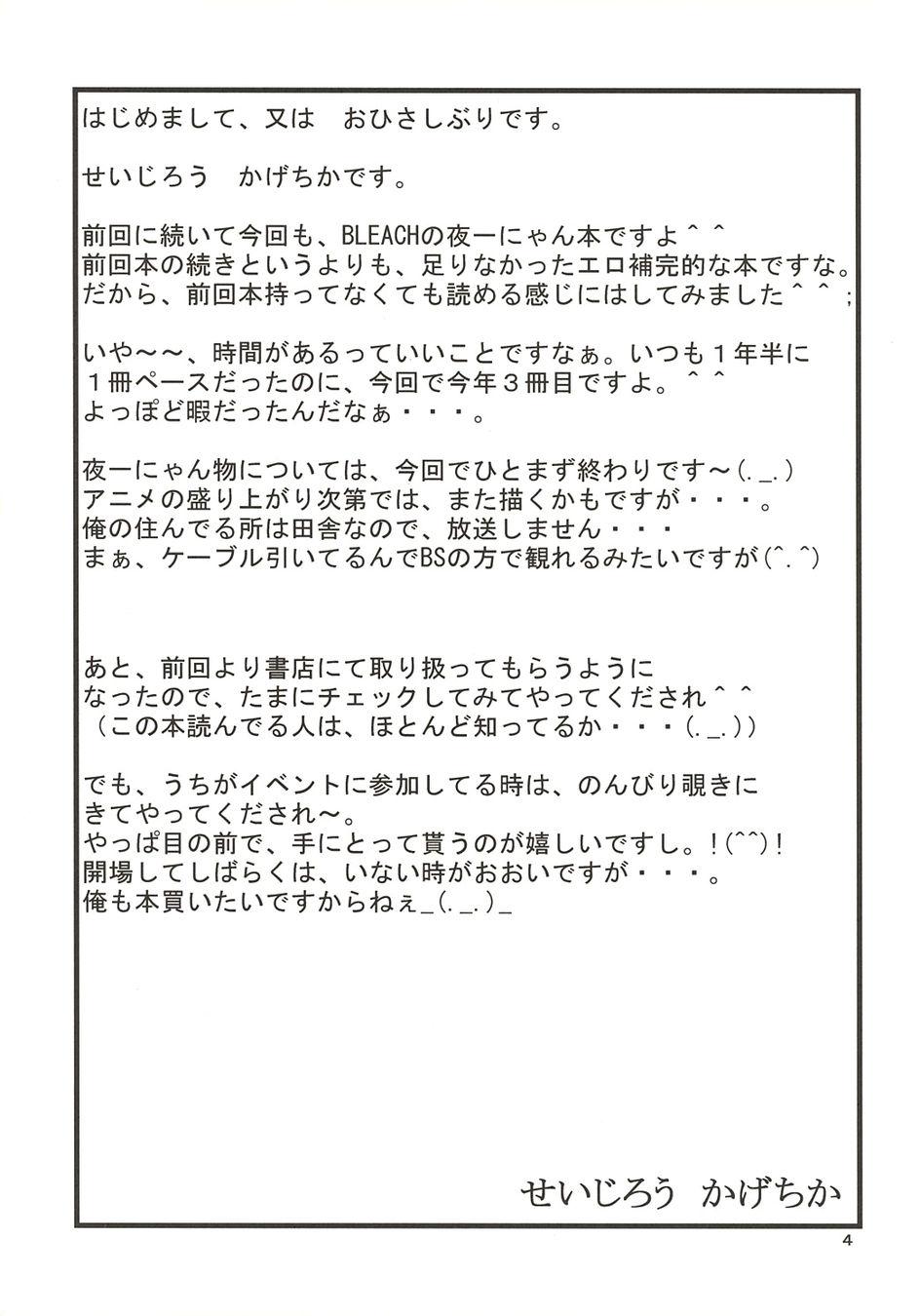 Threesome Yoruichi Nyan no Hon 2 - Bleach Spreadeagle - Page 4