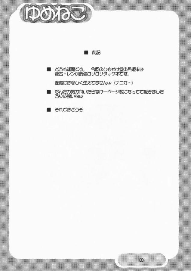 Punished Yumeneko - Fate stay night Tsukihime Huge - Page 3