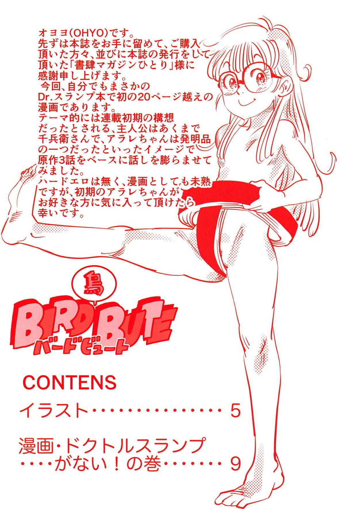 Real Amateurs (SC2019 Spring) [Shoshi Magazine Hitori (Oyoyo)] BIRD(Tori)BUTE (Dr. Slump) - Dr. slump Virtual - Page 3