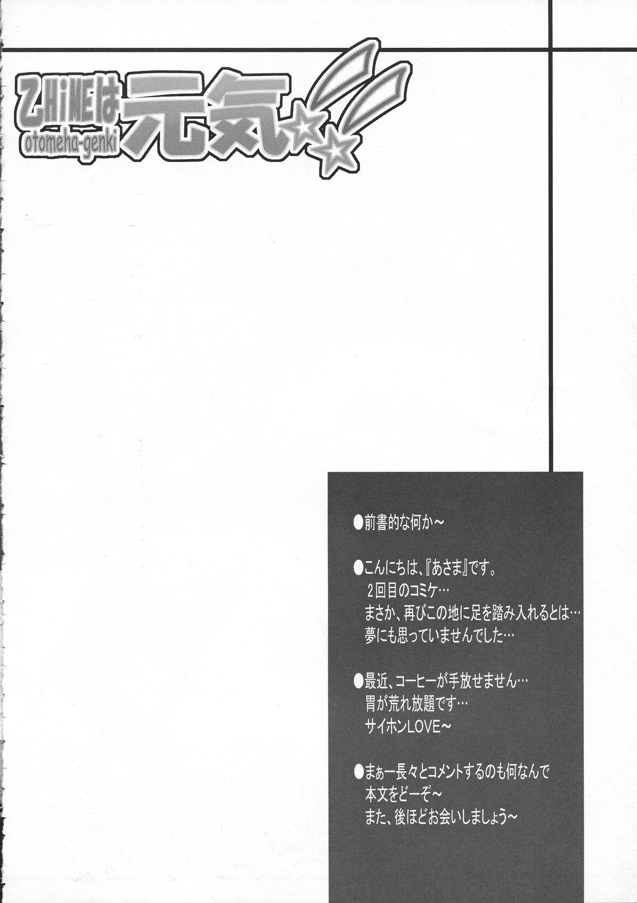 Jerk Off Instruction Otome wa Genki!! - Mai-otome Big Dick - Page 4