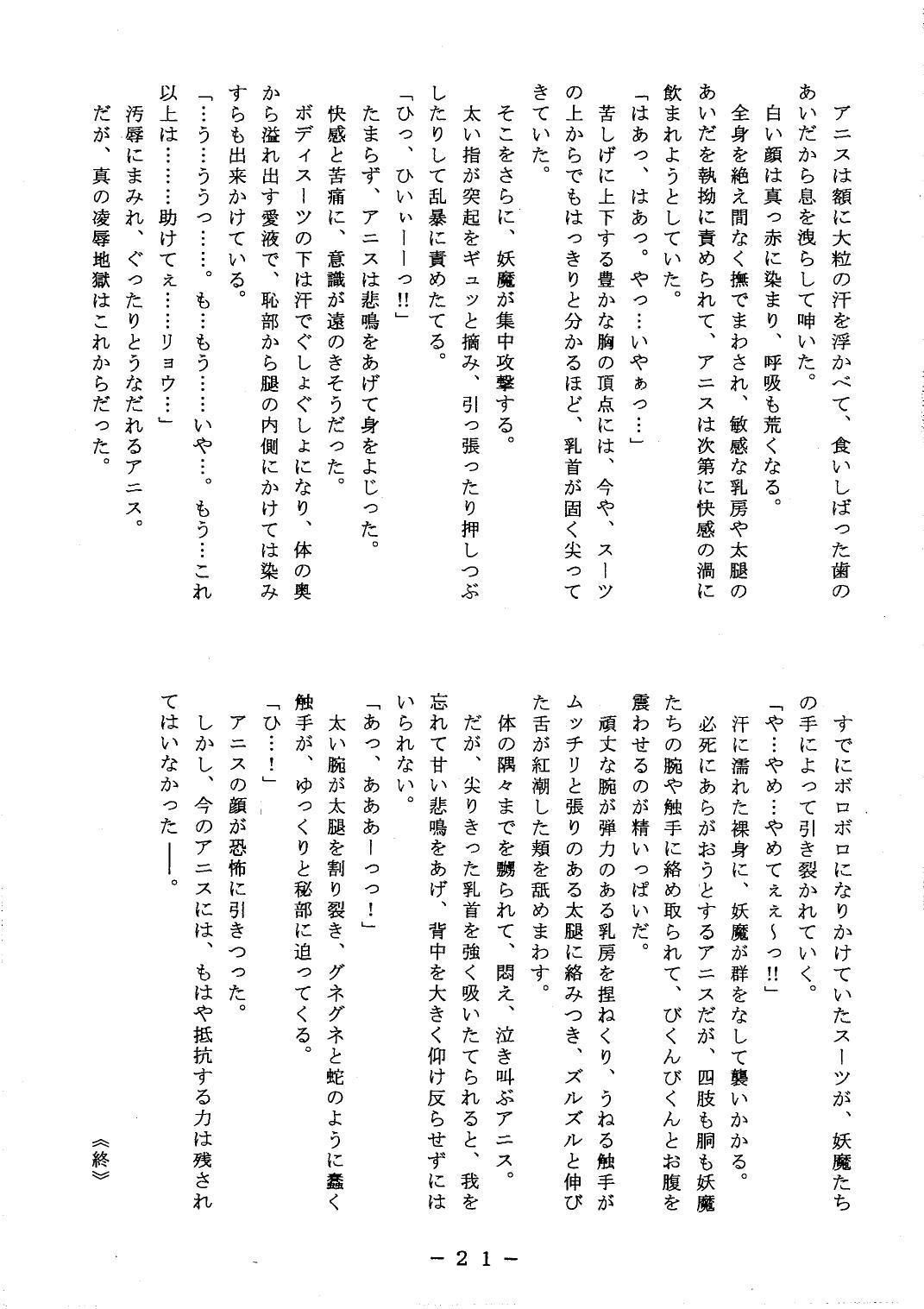 Anice-sensei Kannou Shashinshuu 20