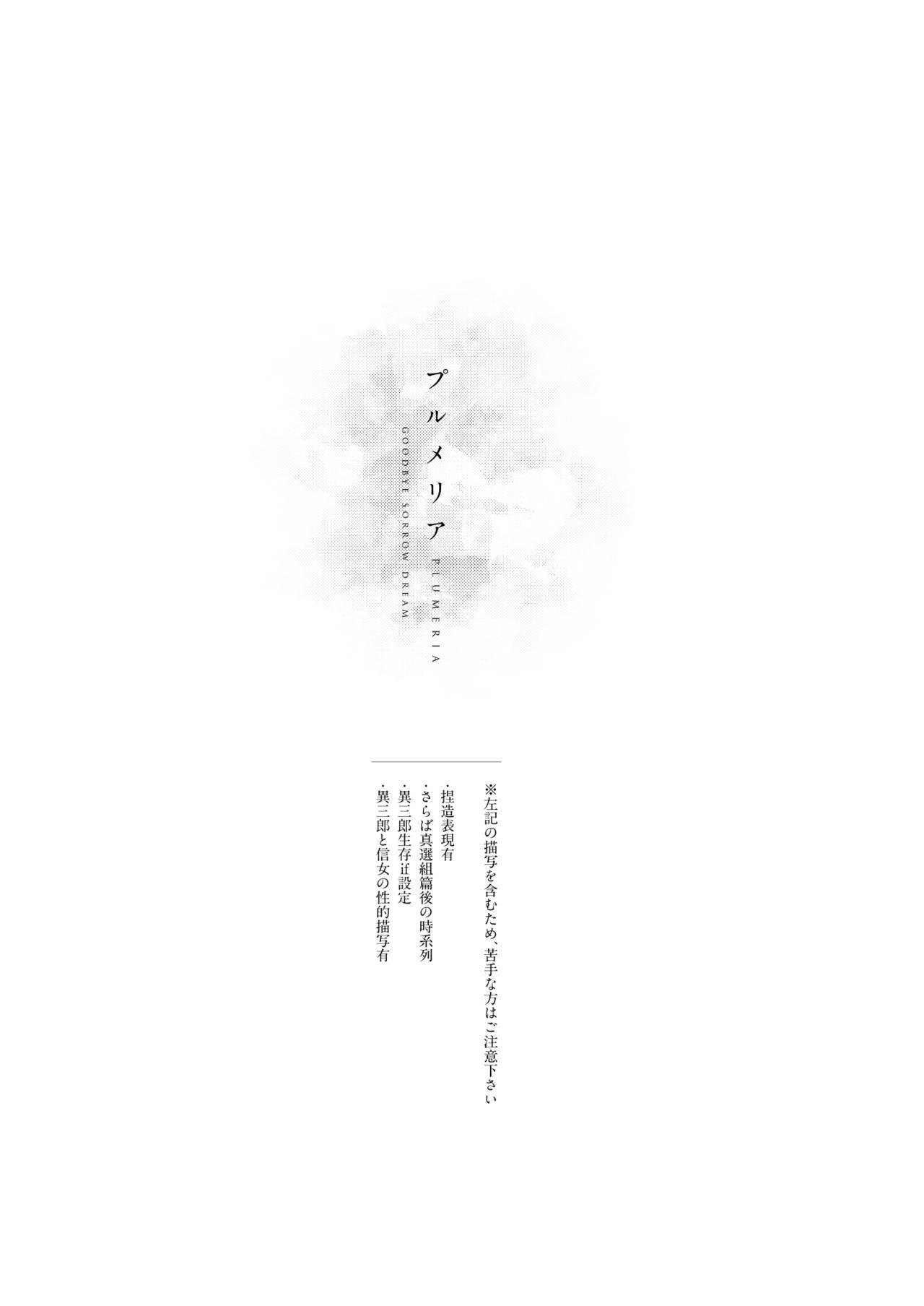Bigdick Plumeria - Gintama Cruising - Page 4