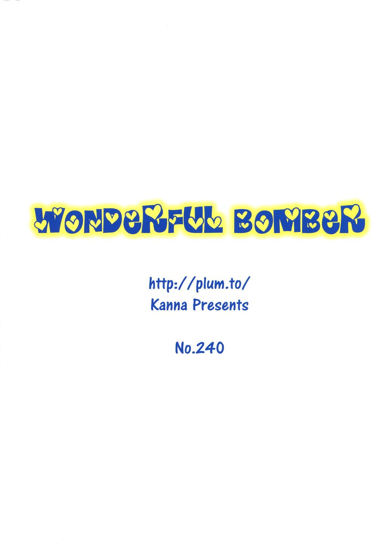 Wonderful Bomber 1