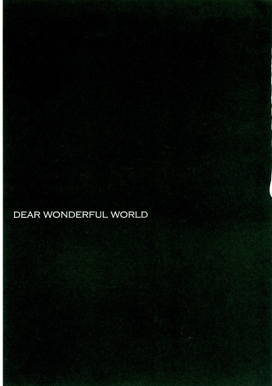 DEAR WONDERFUL WORLD 2