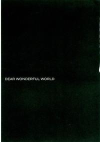 DEAR WONDERFUL WORLD 3