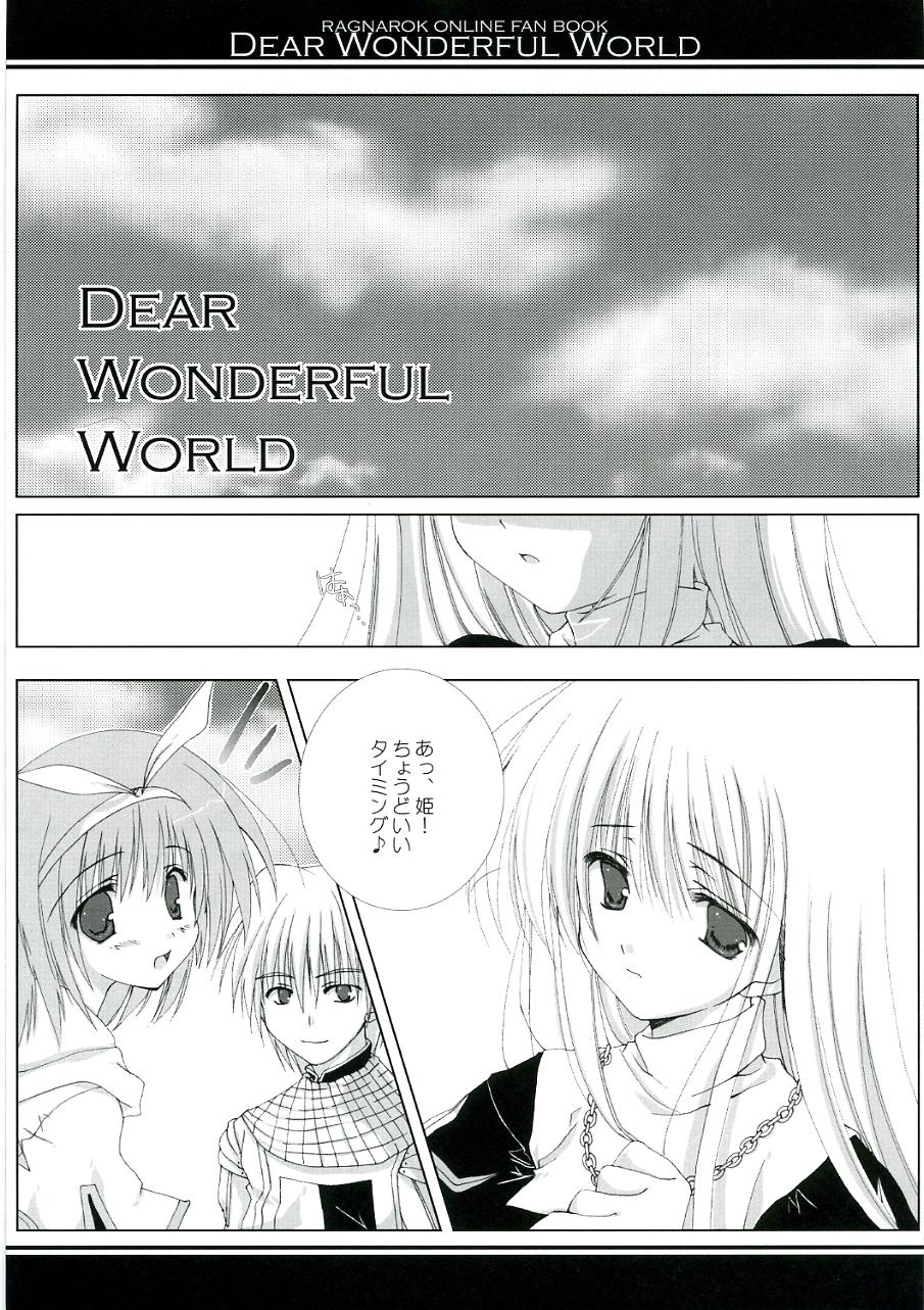 DEAR WONDERFUL WORLD 4