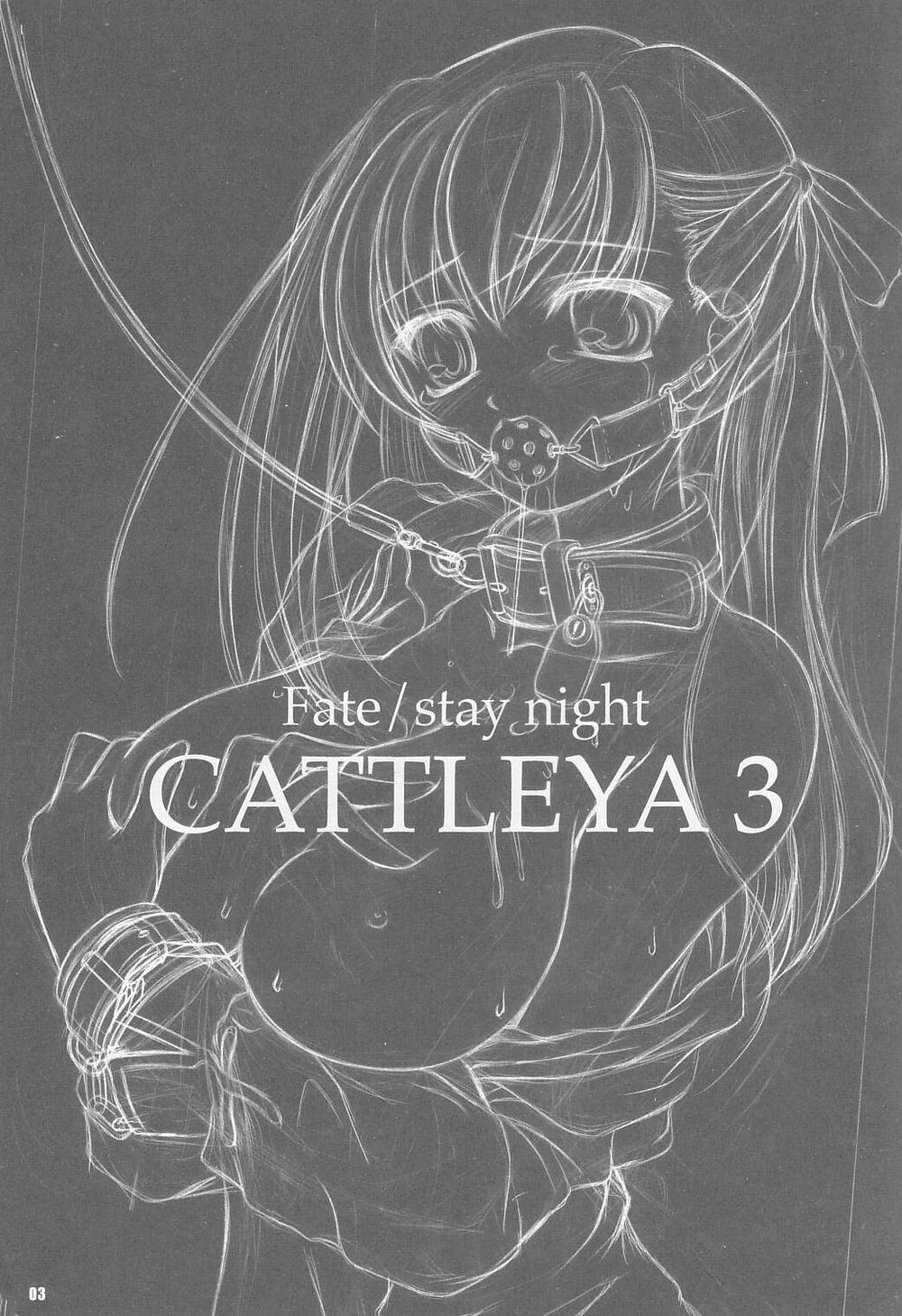 CATTLEYA 3 1