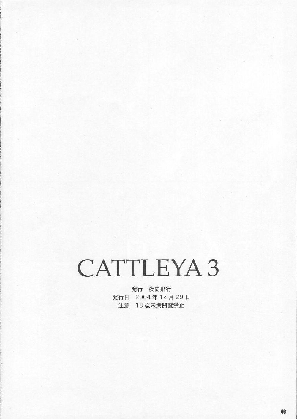 CATTLEYA 3 44