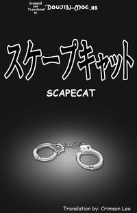 ScapeCat 1 3