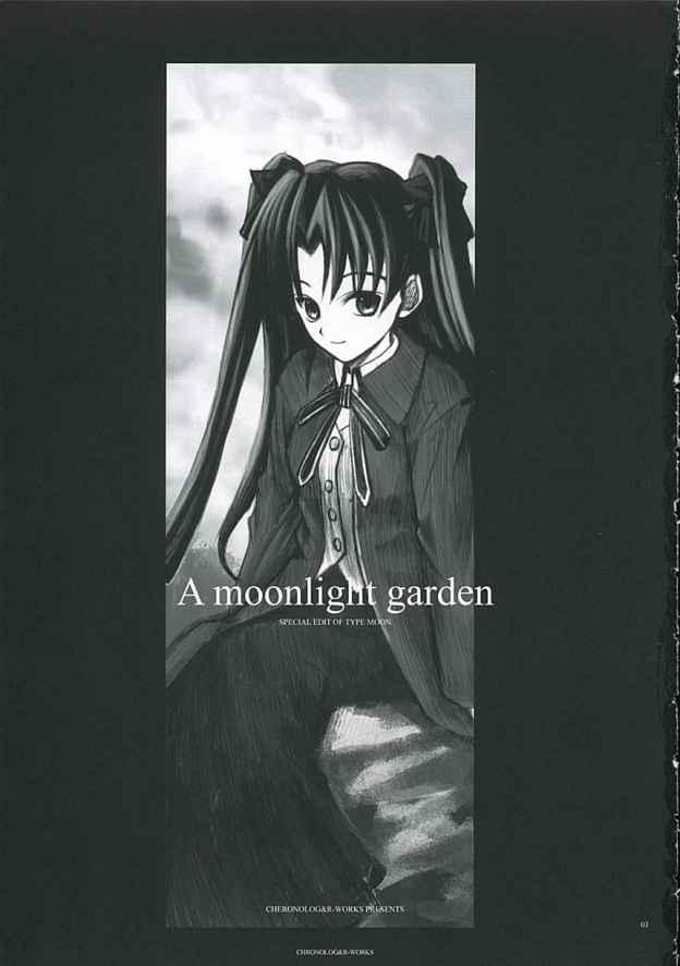A moonlit garden 1