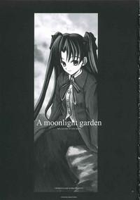 A moonlit garden 2