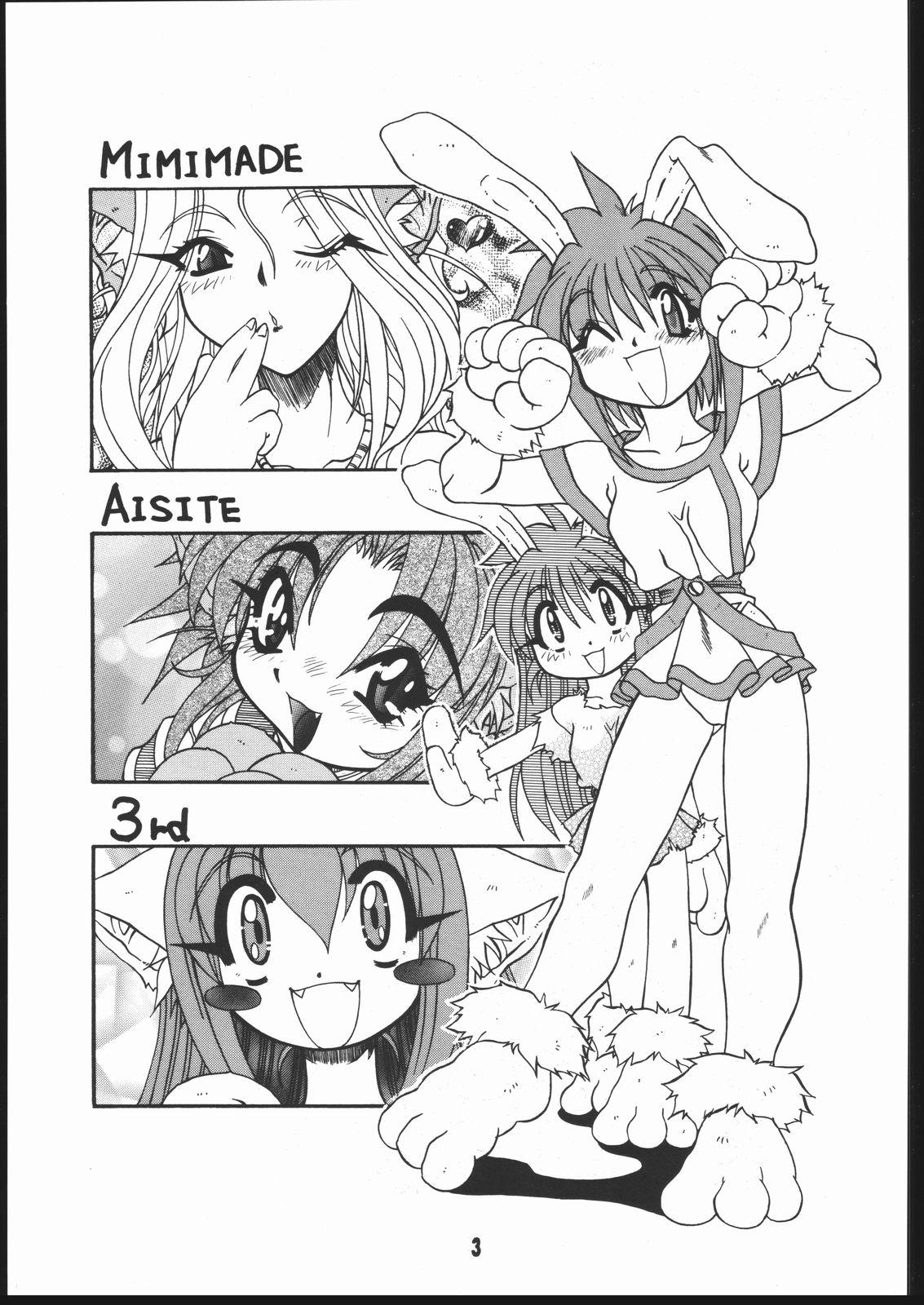Parody Mimi Made Aishite 3 Flexible - Page 2