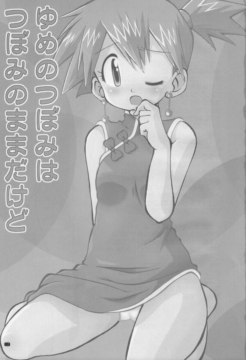 Vibrator Yume no Tsubomi wa Tsubomi no Mama dakedo - Pokemon Thong - Page 2