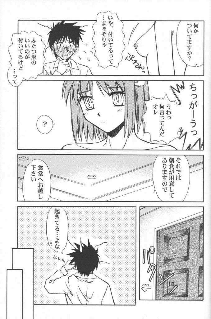 Bigcocks Untouchable Girls - Tsukihime Ex Gf - Page 11