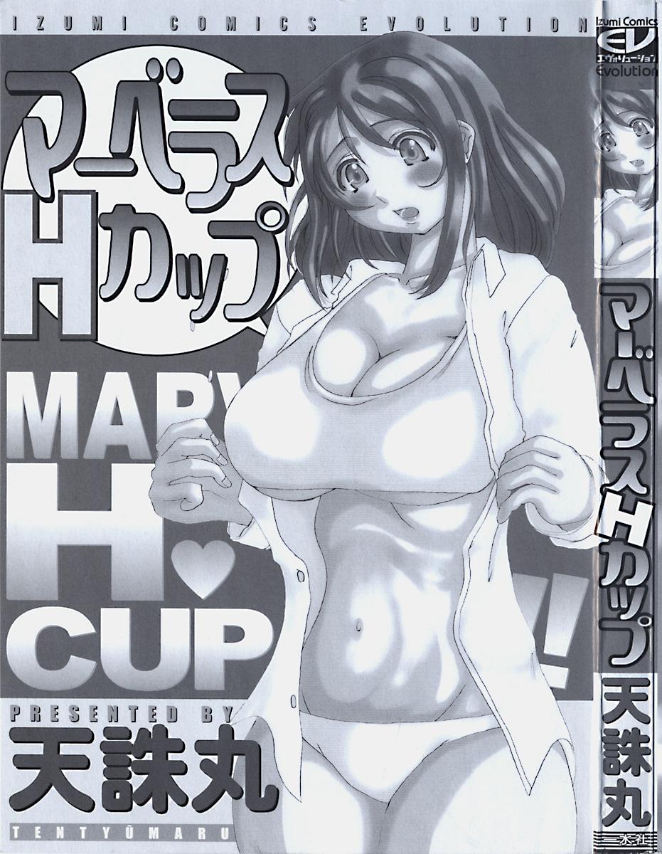 Marvelous H-Cup 3