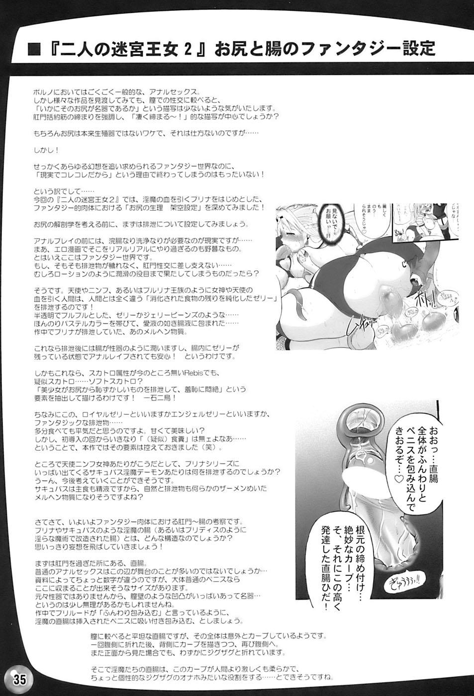 Romance TGWOA 20 - Futari no Meikyuu Oujo II Gostoso - Page 35