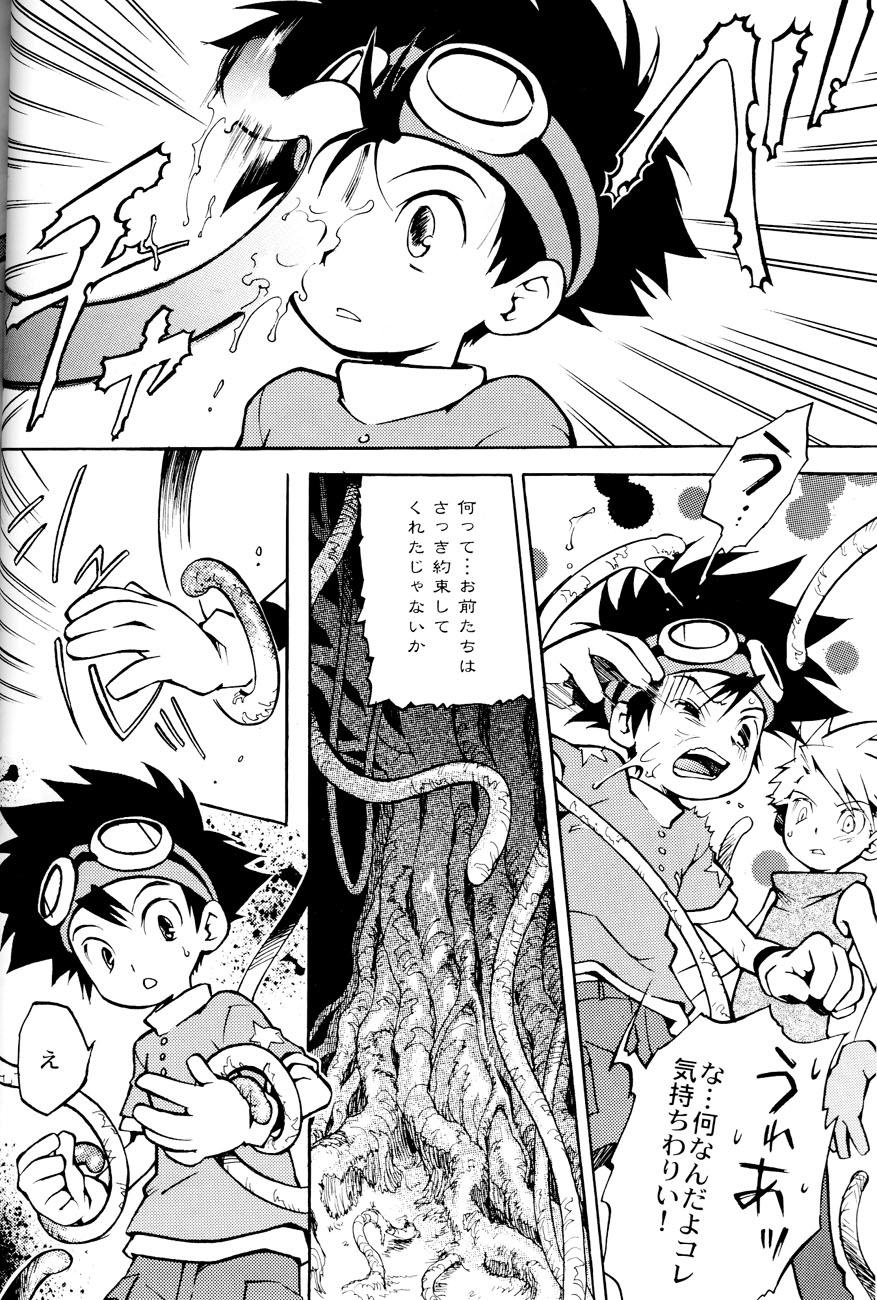 Kitchen SATELLITE U - Digimon adventure Digimon frontier Colegiala - Page 5