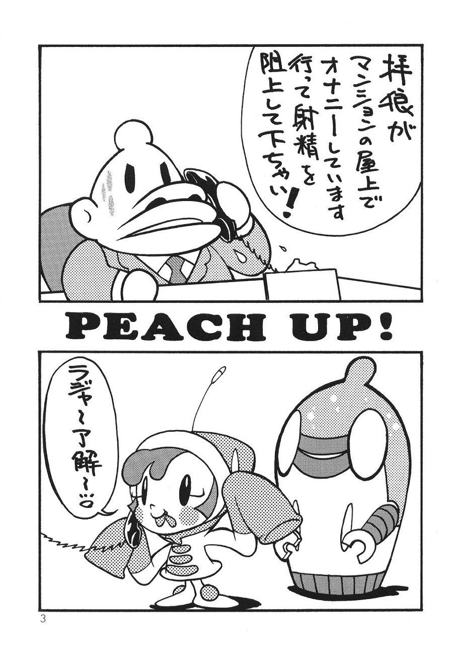 Show Peach Up! - Darkstalkers To heart The legend of zelda Megaman Pool - Page 2