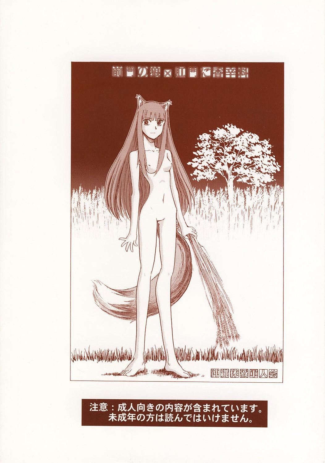 Pure 18 Zenmon no Ookami x Koumon ni Kousinryou - Spice and wolf Blond - Page 18