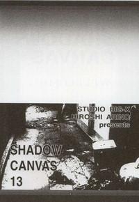 Shadow Canvas 13 3