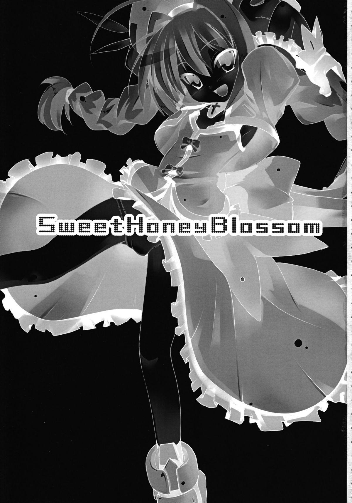 Boyfriend Sweet Honey Blossom - Mahou shoujo lyrical nanoha Peru - Page 3