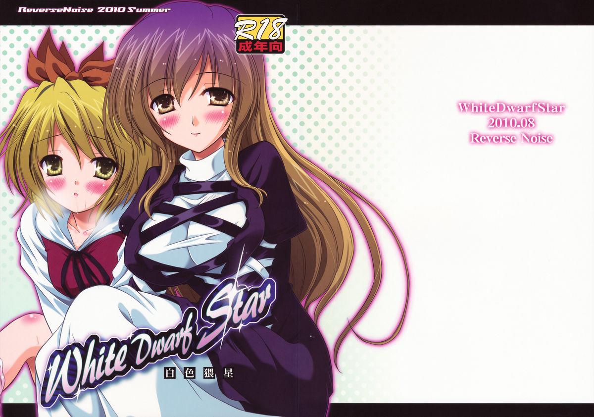 Glamcore White Dwarf Star - Touhou project Gay Shorthair - Picture 1