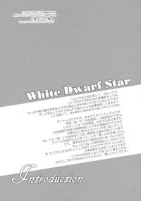 Vip-File White Dwarf Star Touhou Project Luscious 4
