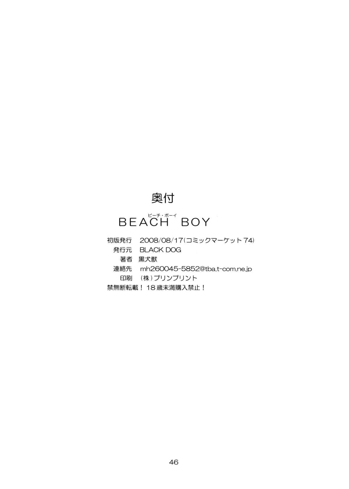 Beach Boy 43