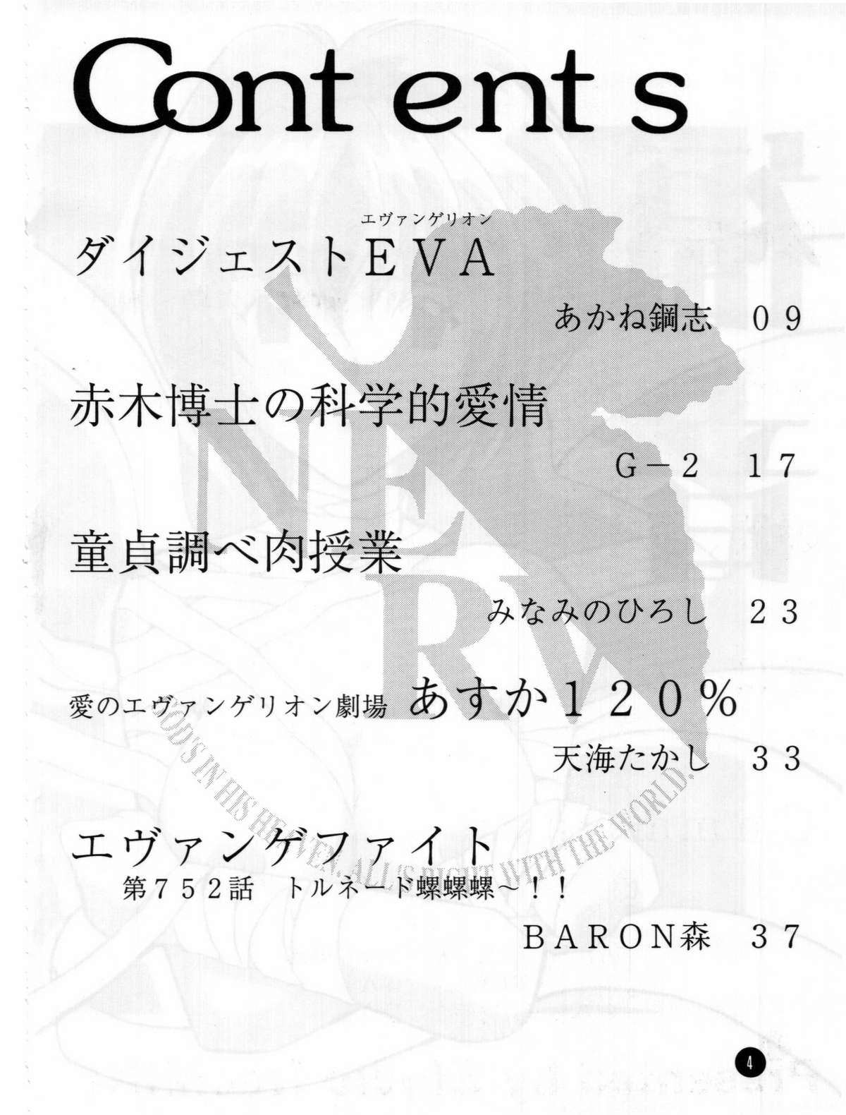 Hidden Fukuin - Neon genesis evangelion Jav - Page 3