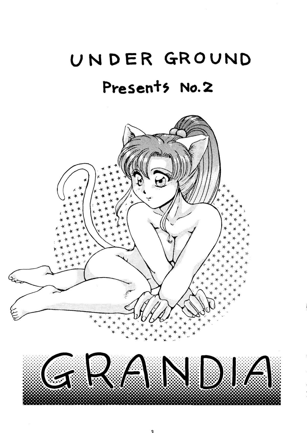 Amateur Sex Grandia - Sailor moon Family - Page 2