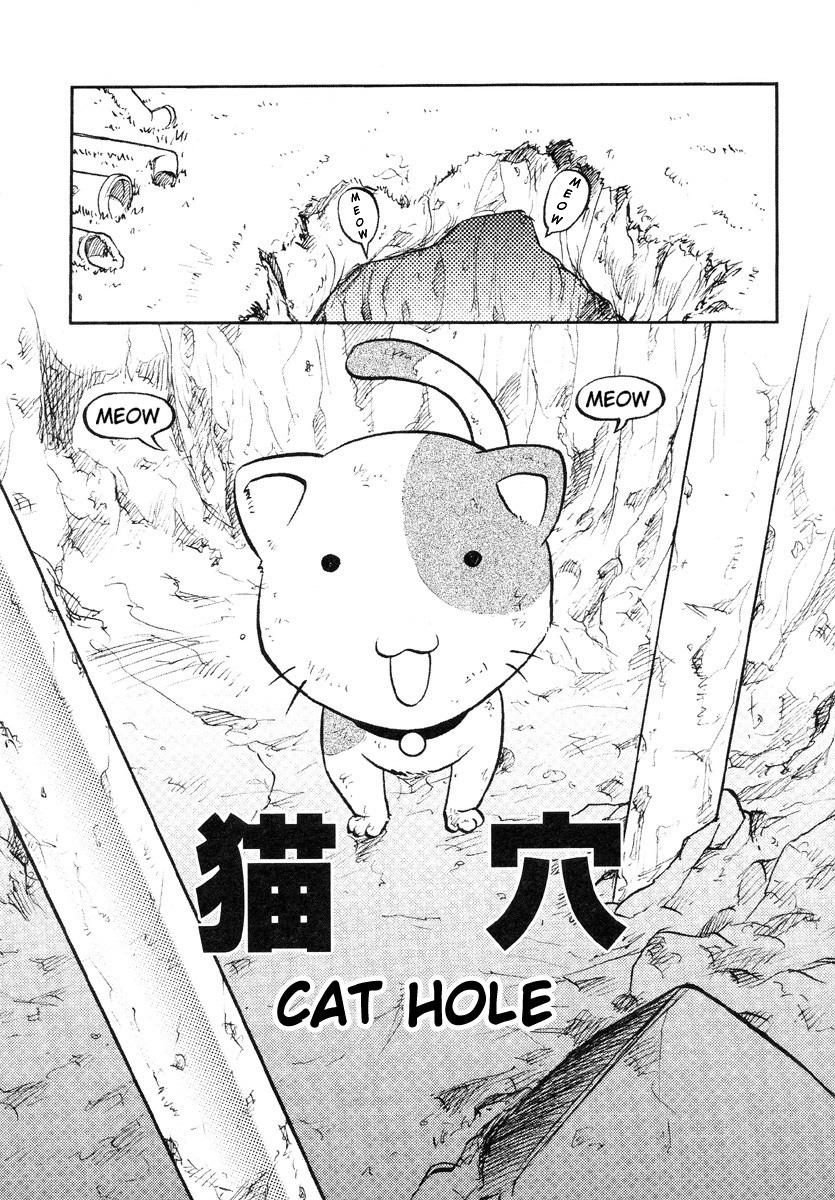 Cat Hole 2