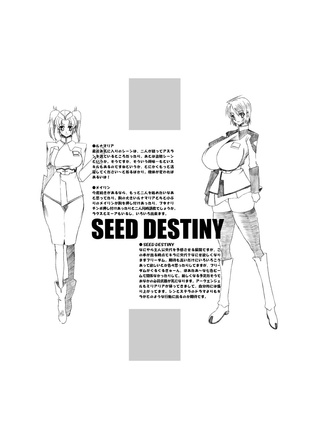Culo Grande PLEATED GUNNER #12 - Gundam seed destiny Cunnilingus - Page 27