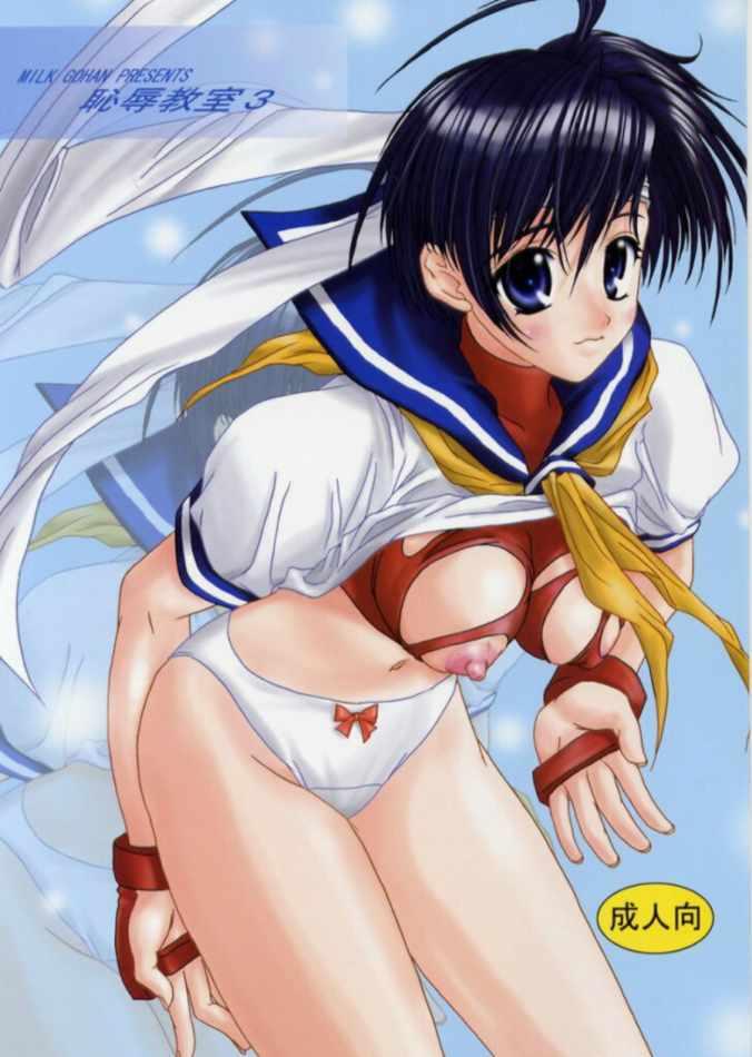 Chicks Chijoku Kyoushitsu 3 - Street fighter Rival schools Sexy Whores - Picture 1