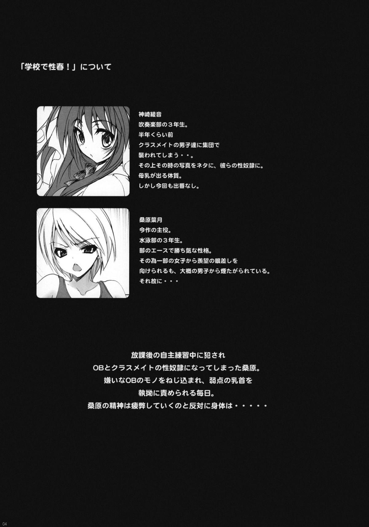 Webcamchat Gakkou de Seishun! 6 Toilet - Page 3