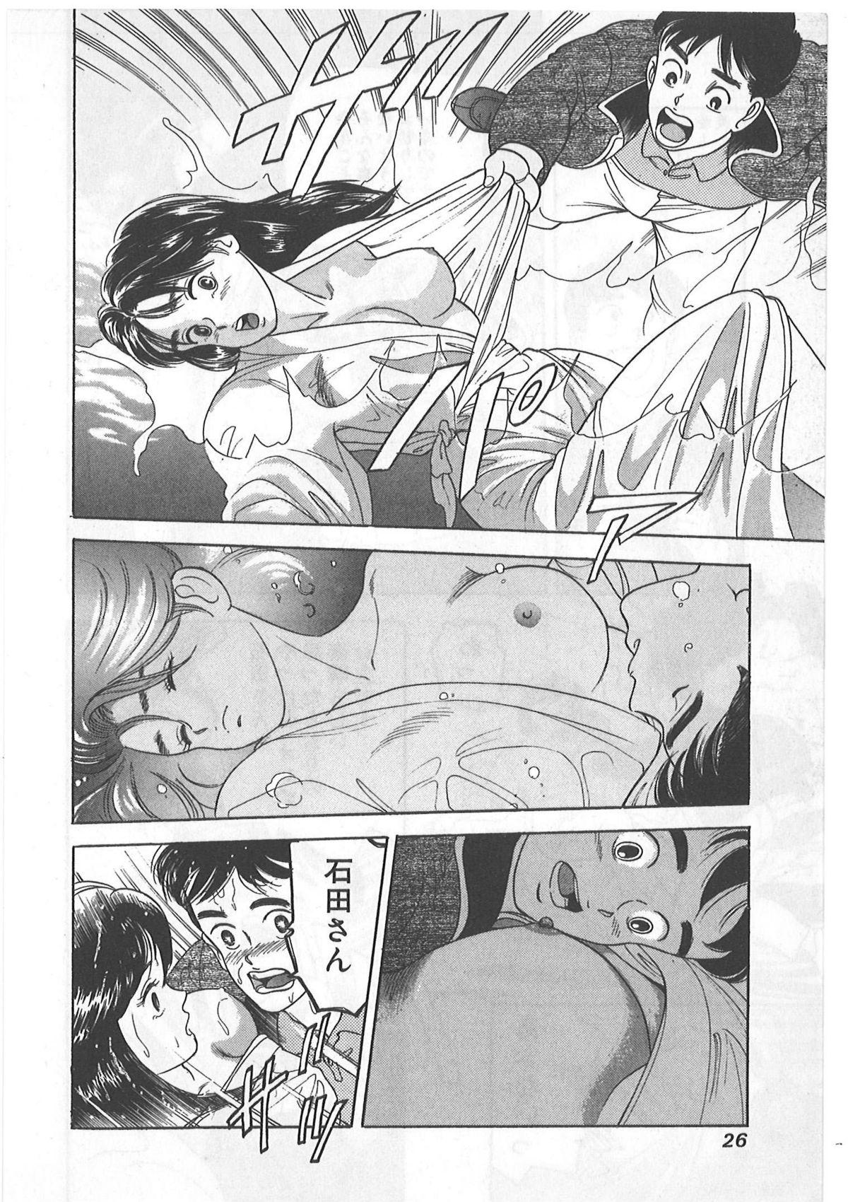 Tokiniwa Bara no Niau Shoujo no Youni Vol.1 25