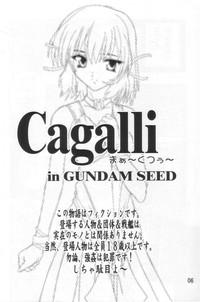 Fuck For Cash Cagalli Mark 2- Gundam seed hentai Gay Amateur 5