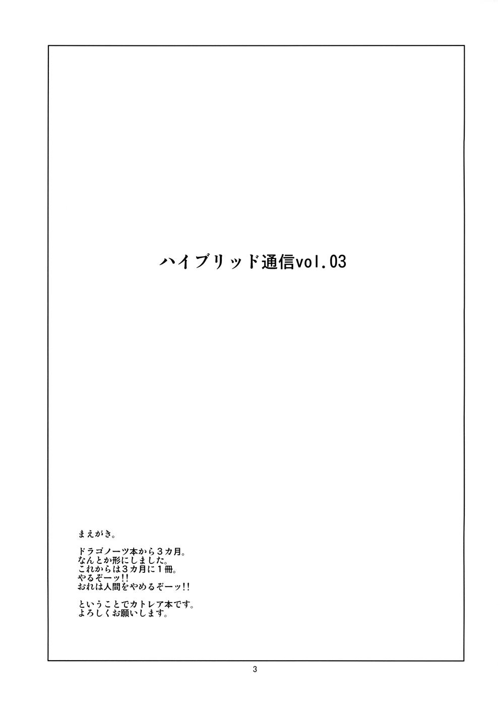 Hybrid Tsuushin Zoukangou vol.01 46