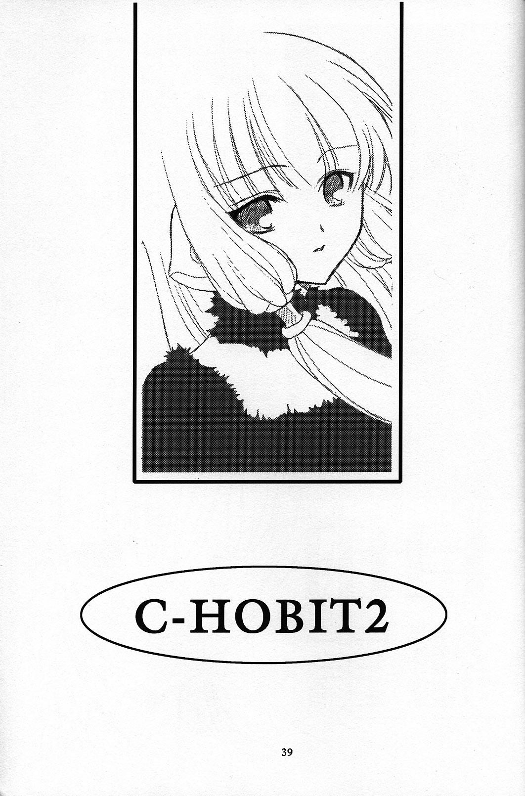 C-HOBIT 2 37