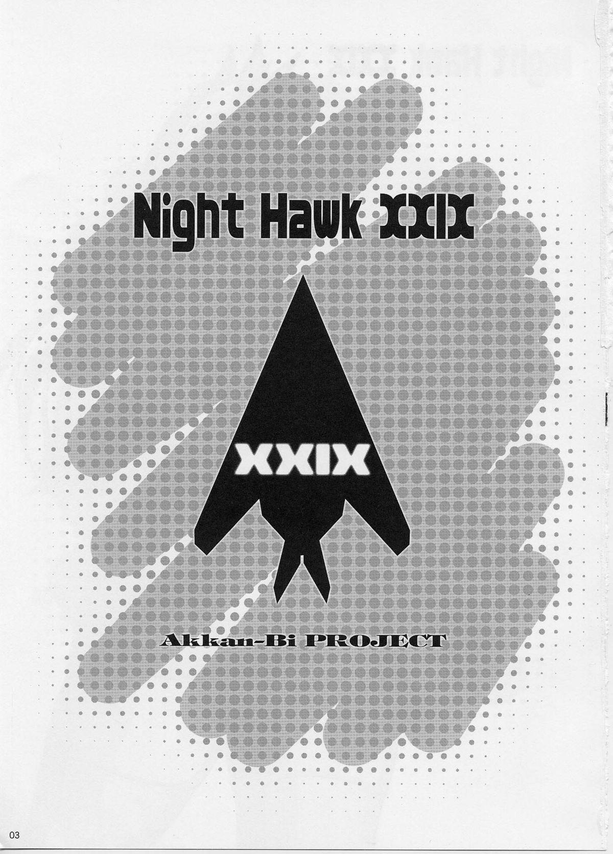 NightHawk XXIX 1