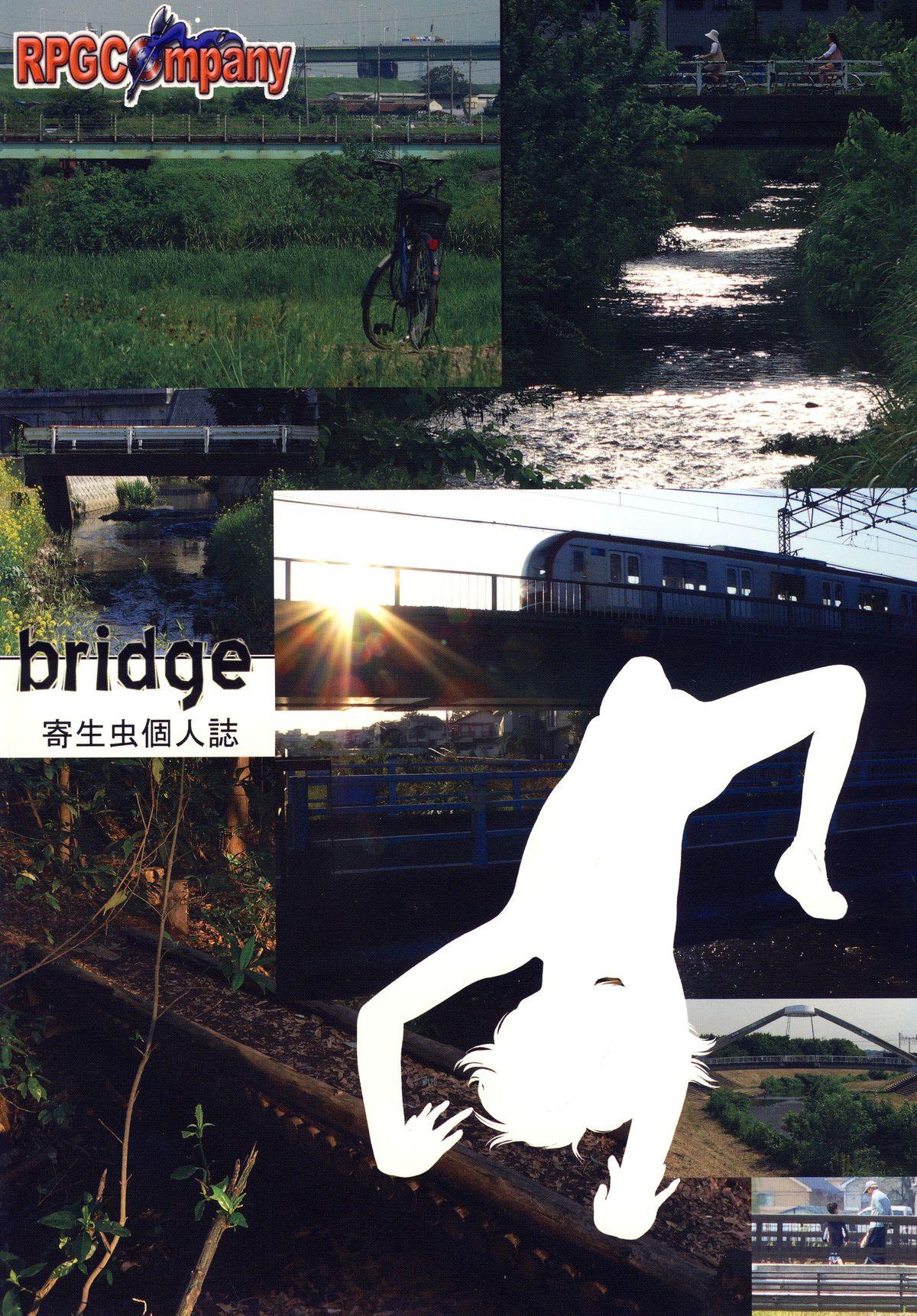 Bridge 31