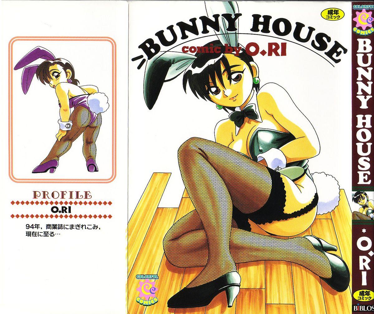Bunny House 0