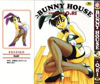 Bunny House 1