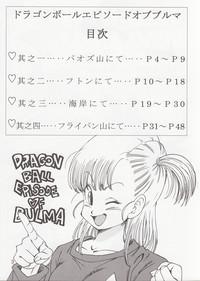 Dragon Ball EB 1 - Episode of Bulma 4