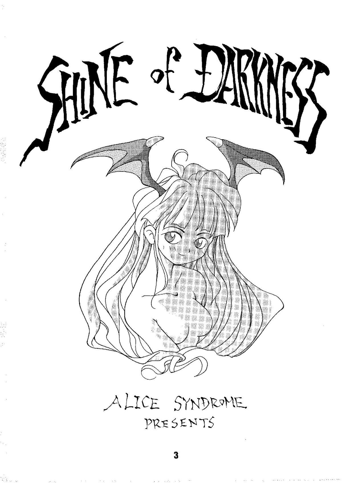 Cheat Shine of Darkness - Darkstalkers Village - Page 3