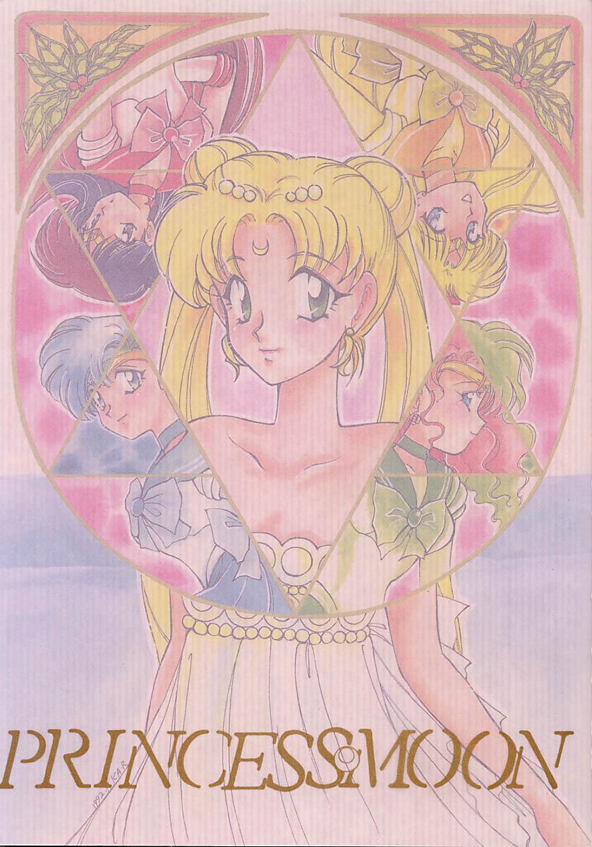 Gay Massage Princess Moon - Sailor moon Tight Cunt - Page 2