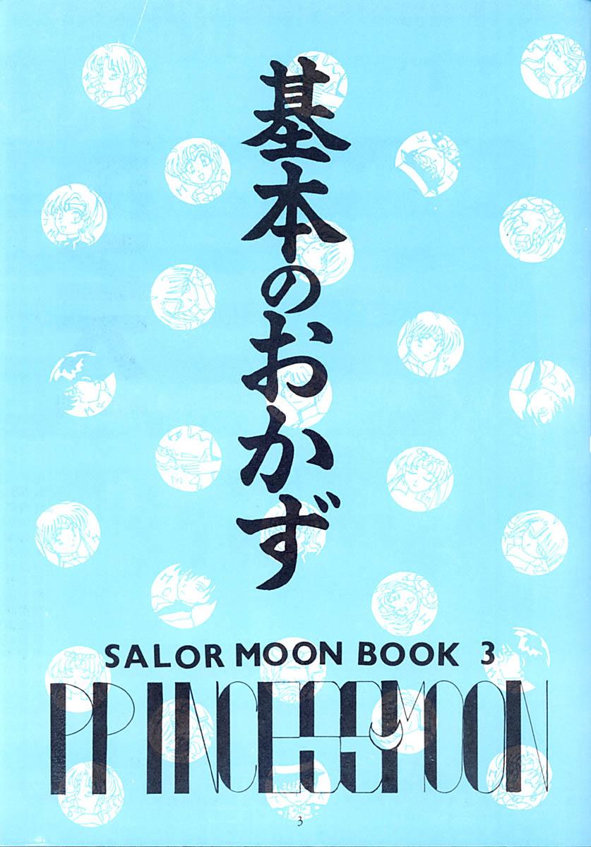 Gay Massage Princess Moon - Sailor moon Tight Cunt - Page 4